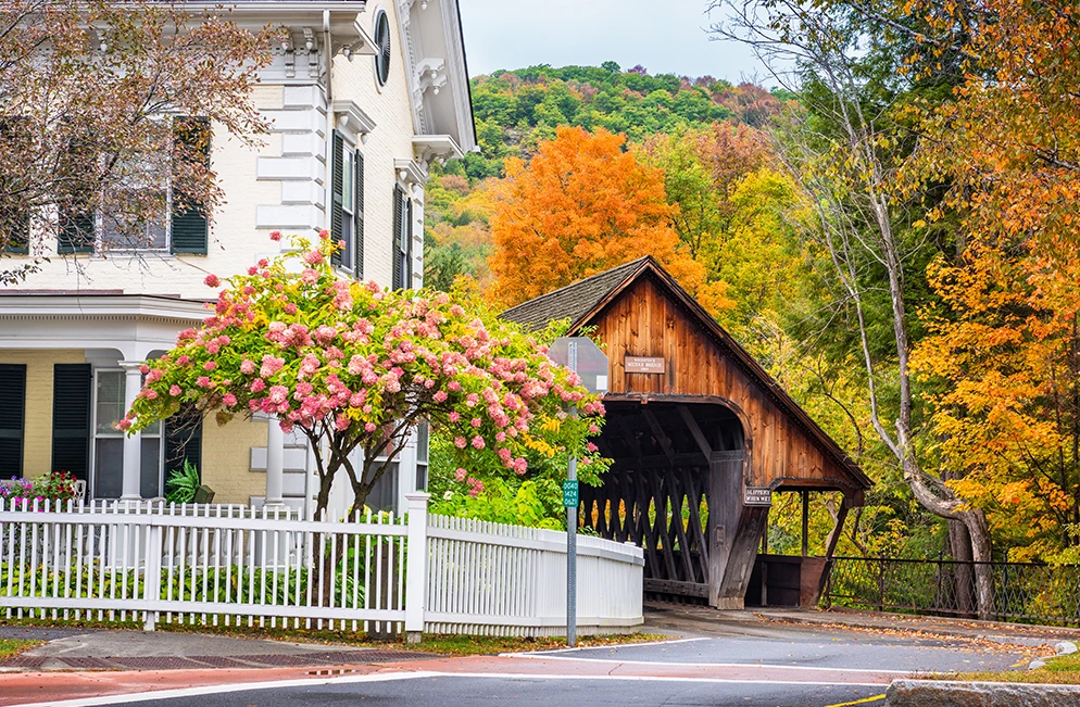 About Sunset Valley Dental